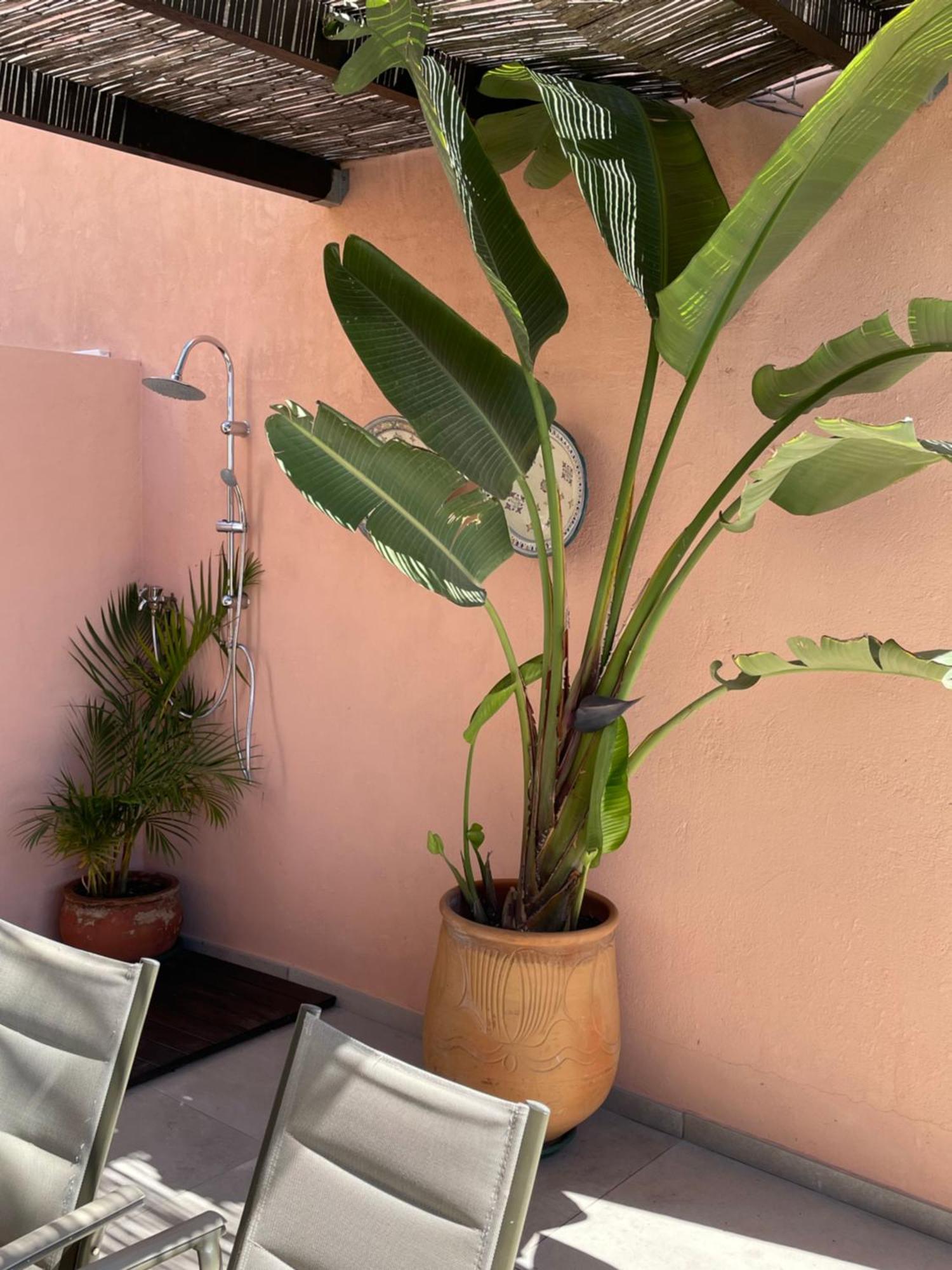 Apartmán Mar De Fondo En Pedregalejo Màlaga Exteriér fotografie